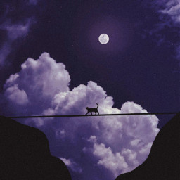 animal cat silhouette moon freetoedit