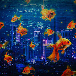 freetoedit srcgoldfishglow goldfishglow