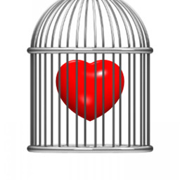 cagedheart stickersoriginals: freetoedit stickers