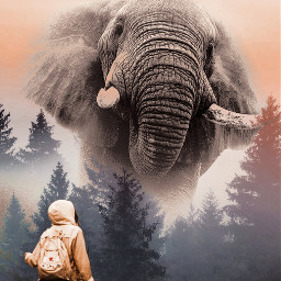 elephant giantanimal surrealism freetoedit picsartedit
