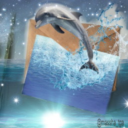 animal natural mar oceano oceanos luna delfin delfines cielonocturno freetoedit ircdesignthecard designthecard
