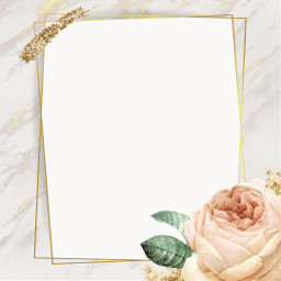 freetoedit peach goldglitter marble square document background wallpaper sample invitation neautral flowers floral text textbox createyourown announcement pretty