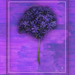 freetoedit ircpurple purple