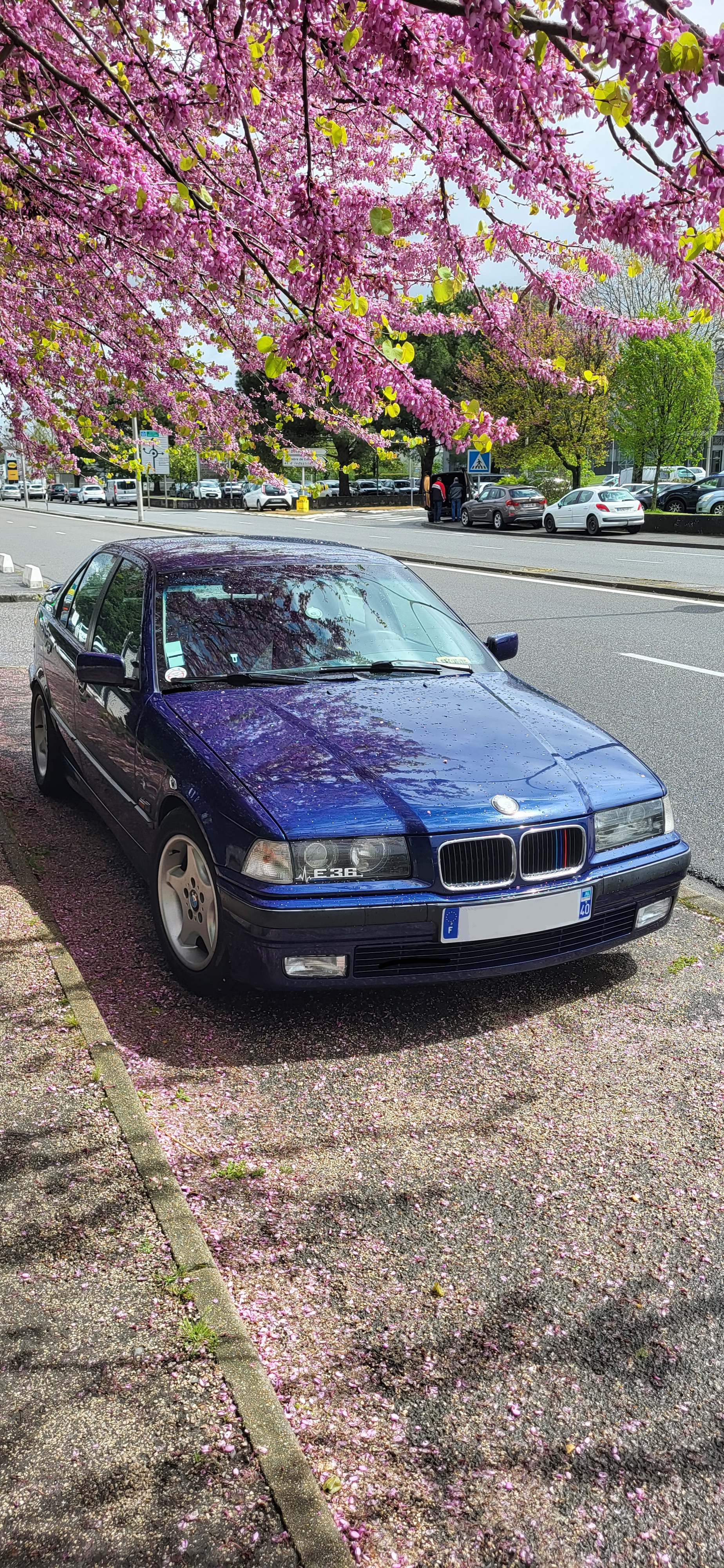 saved-to-drive
