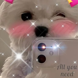 beauty selfie freetoedit fcpets pets