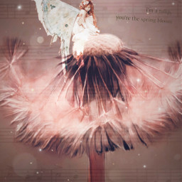 freetoedit fairycore fairy fae fantasy flower dandelion dandelionsilhouette ircdandelion