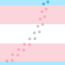 1693
picsart hange_7 transgenderflag trans lgbtq prideflag transgenderpride wallpaper lgbtqwallpaper pride lgbt freetoedit 1693