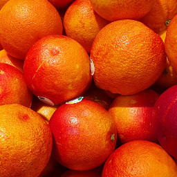 oranges citrusfruit myphto freetoedit