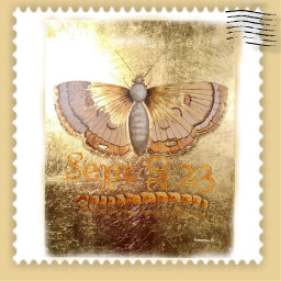 stamp butterfly butterflyeffect septembercalendar september freetoedit srchelloseptember helloseptember