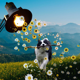 lamp fieldsofgold dog bigstick running freetoedit ircdaylightlamp daylightlamp