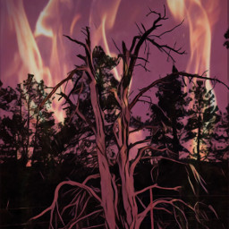 trees forest outdoor nature fire mask overlay undeadeffect freetoedit