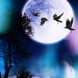 freetoedit night ravens beatiful nught moonlight aesthetic aestheticwallpaper background
