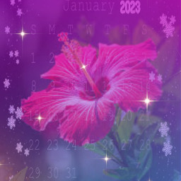 freetoedit hibicus flower cool pink calender smile blush snow numbers srcjanuarycalendar2023 januarycalendar2023