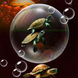 freetoedit turtles artwork dreamart myart myedit madewithpicsart wombodream