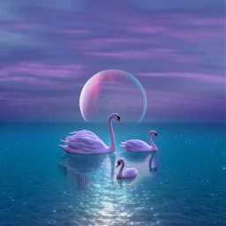 fantasy nature blue pink swans night moon myedit gaby298 remixed sea noche fantasia mar cisnes cielo luna purple freetoedit