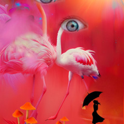 freetoedit flamingo surrealart fantasyart dreamart myart myedit madewithpicsart wombodream