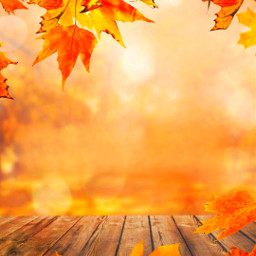 otoño otoñomagico autumn fall pumpkins fallaesthetic october september november season thanksgiving fallcolors thankful faith love freetoedit