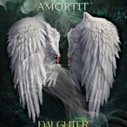 cover angelwings book freetoedit