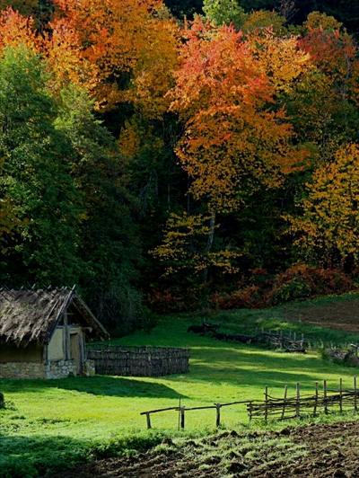Colori d' autunno #nature #autumn #colors #trees #meadow #hut #myphotography