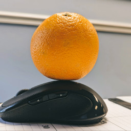 balancedmeal orange foodphtography mouse workbalance myview 30 fruit citrus freetoedit
