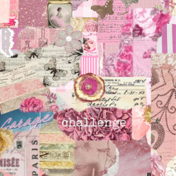 pink pinkcollage vintage vintagecollage pinkaesthetic freetoedit