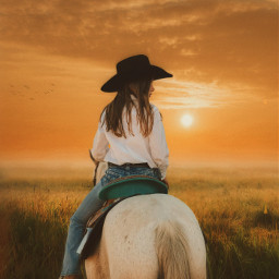 freetoedit background replayed field sunset cowgirl western horse country aesthetic birds picsart