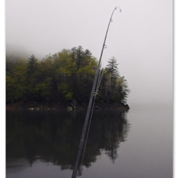 myphoto myphotography mypainting fishing fishingpole onthelake ontheboat hiawasseelake morningfog treelined lakewater reflectioninwater bordered