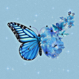 srcbutterflykaleidoscope butterflykaleidoscope insect mariposa alas flores azul glitter brillo freetoedit