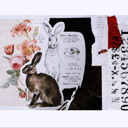 freetoedit animal rabbit hapynewyear art collage
