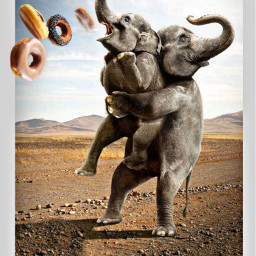 freetoedit surrealisticworld surrealart elephants ecdonutsgalore donutsgalore