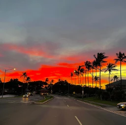 hawaii islandlife pcsummersunset summersunset