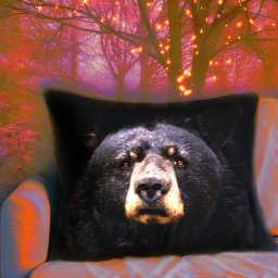 pillow cushion bear lights fantasy freetoedit ircsoftpillow softpillow