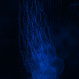 invert glitch jellyfish medusa deepsea dark blue black scary freetoedit remixit
