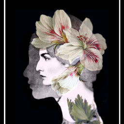 freetoedit art silhouette profile woman flowers doubleexposure fx stickers blackbackground border frame