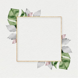 freetoedit square paper document background wallpaper sample invitation neautral flowers floral text textbox createyourown announcement pretty