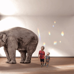 freetoedit children elephant elephantintheroom inside rainbow myedit