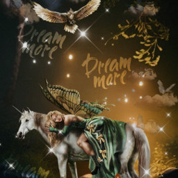 horse pferd girl mädchen fantasy fantasie bird vogel night nacht dreammore overlay freetoedit rcdreamyclouds dreamyclouds