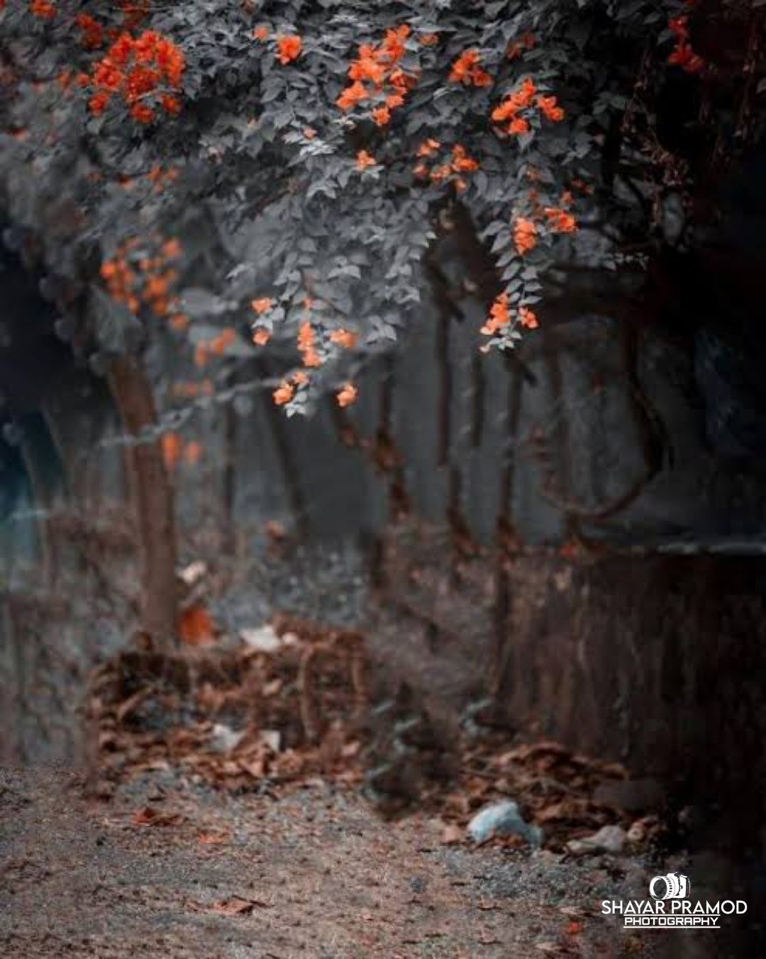 Find more maker photos 437408582033201