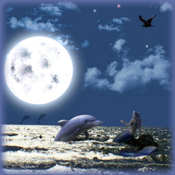 masterremasters masteroftheweek mastershoutout mermaid dolphin moon fantasy fantasyart imagination freetoedit