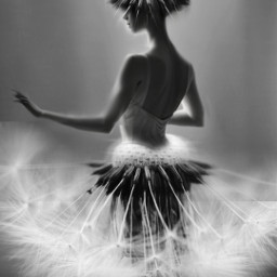 ballerina ballerinadandelion ircdandelion dandelion

https://picsart.com/i/427824356057201?challenge_id=64b23d086b5b27006df87445 freetoedit dandelion