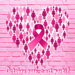 octobrerose pinkoctober rosycolor pink pinkaesthetic fight fightlikeagirl fightagainstcancer freetoedit
