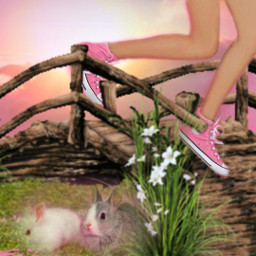 legs beine rabbits kaninchen bridge brücke pink rosa freetoedit ircpinkonpink pinkonpink
