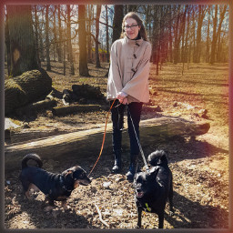 doggy puppy outdoor pet animals dogs nature outdoors forestgirl forrest woods trees retrostyle vintageaesthetic papereffect freetoedit