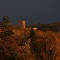 landscape castle wood sunset myphotography freetoedit