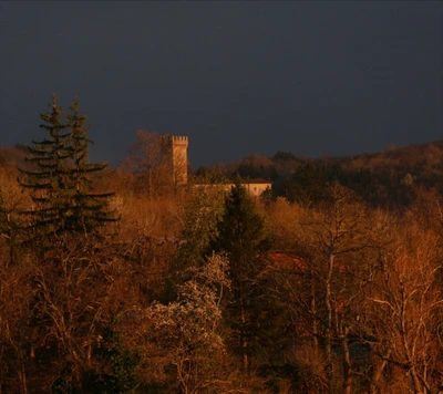 Happy weekend dear friends 🧡 Nella luce rossastra del tramonto #landscape #castle #wood #sunset #myphotography