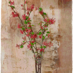 blossom flower pinkflower vase ribes floweringcurrant plaster debris dust remove watercoloureffect watercolor freetoedit