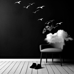 birds cloud blackandwhite surrealism simplicity minimalistic thinking madewithpicsart freetoedit
