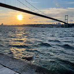 freetoedit sky sun sunset sea istanbul pisart followme travel nature landscape