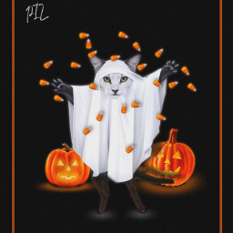 freetoedit cat blackcat ghost ghostcat halloween pumpkins jackolanterns trickotreat