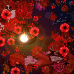 aesthetic blackandred spotlight shine flowers red hand colorinme freetoedit ircdaylightlamp daylightlamp